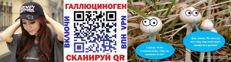 купить  сайты  Игарка  Галлюциногенные грибы Psilocybe 